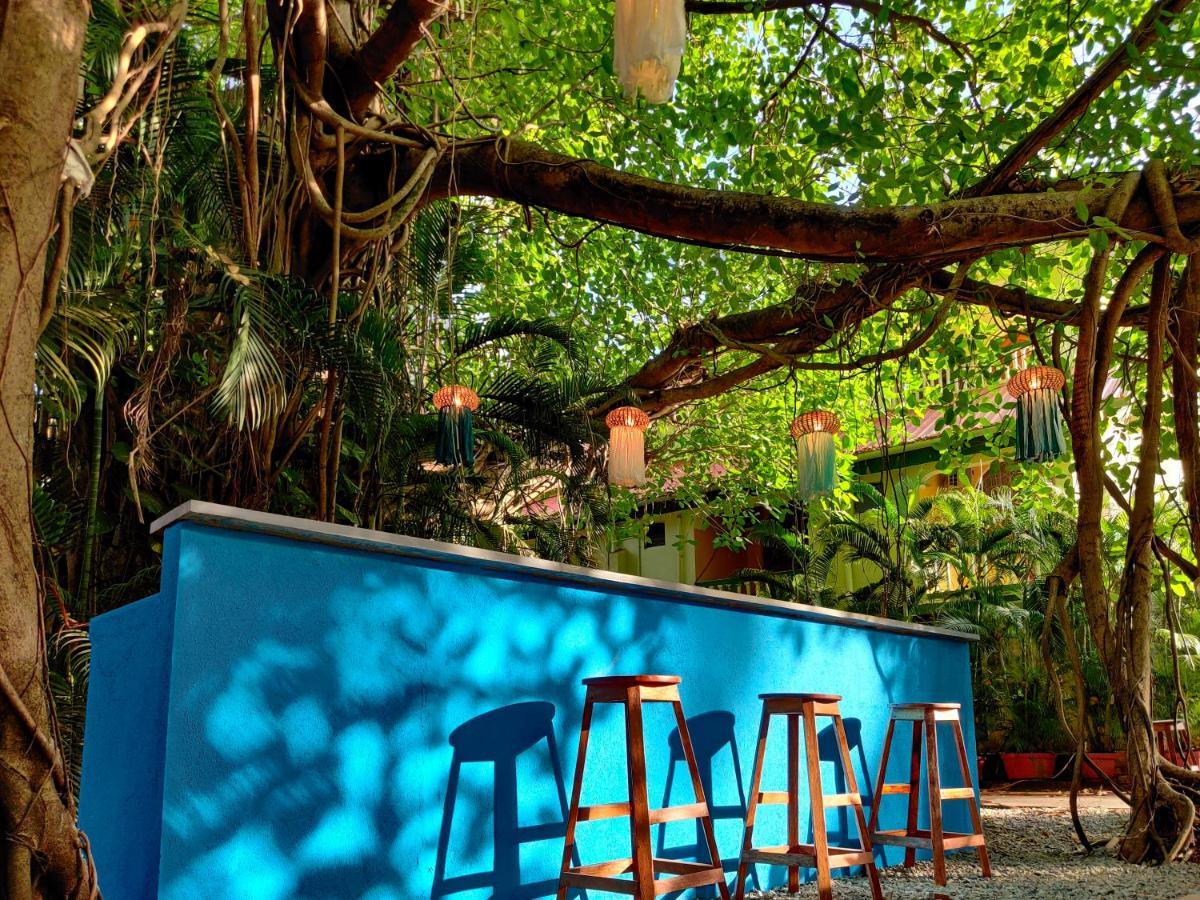 GOA Piggy Calangute By Urban Nomads - Dorms & Pvt Rooms מראה חיצוני תמונה