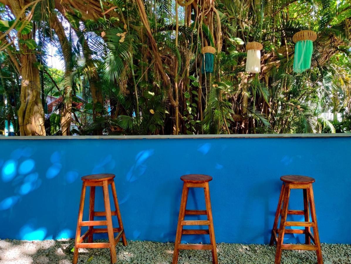 GOA Piggy Calangute By Urban Nomads - Dorms & Pvt Rooms מראה חיצוני תמונה