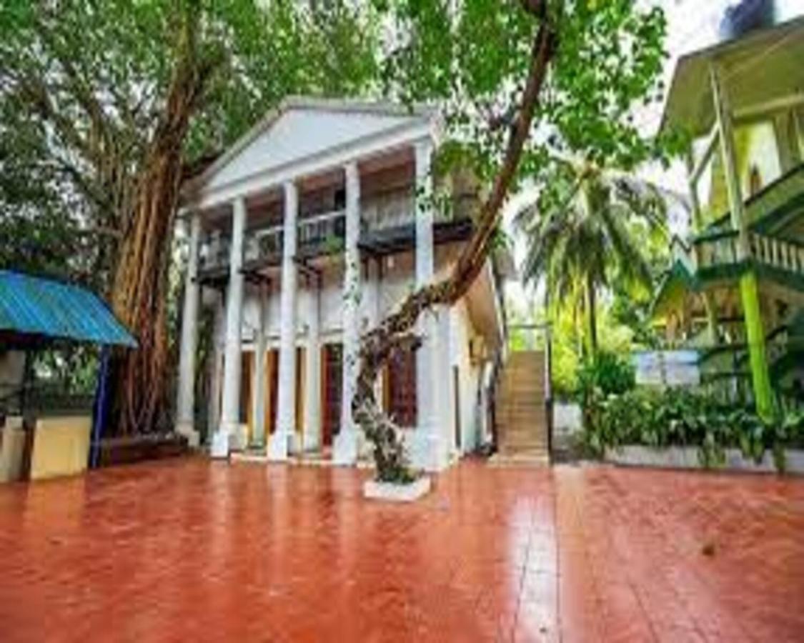 GOA Piggy Calangute By Urban Nomads - Dorms & Pvt Rooms מראה חיצוני תמונה